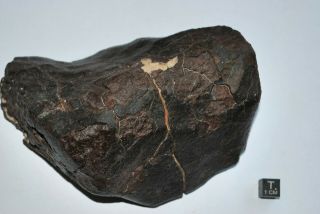 Meteorite Shisr Xxx Complete Specimen 1,  1 Kg