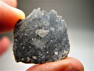 Fantastic Full Slice Magnificent Nwa 11228 Lunar Meteorite 2.  805 Gm