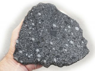 Meteorite Nwa 8741,  Mesosiderite A4,  Full Slice 410 Grams