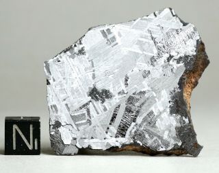 Meteorite Mundrabilla - Big 58.  7g Perfect Etched Endcut - Iron Australia