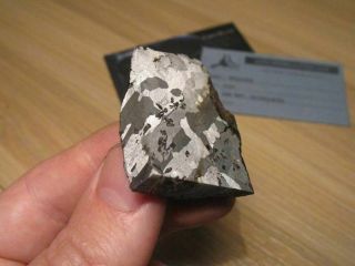 Morasko - Iron Meteorite From Poland (found 1914) - Crater Maker - Endcut 83.  15g
