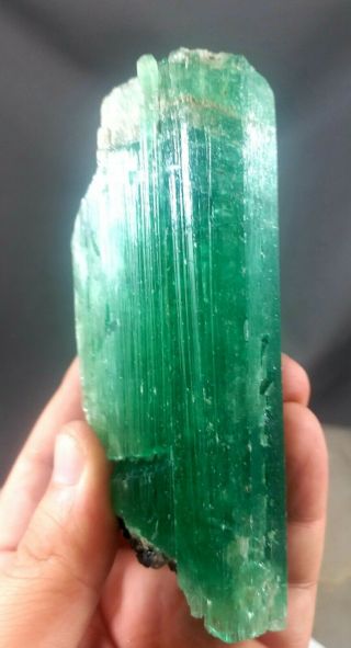 316 Grams Lush Green Hiddenite Kunzite Crystal Combine With Black Tourmaline