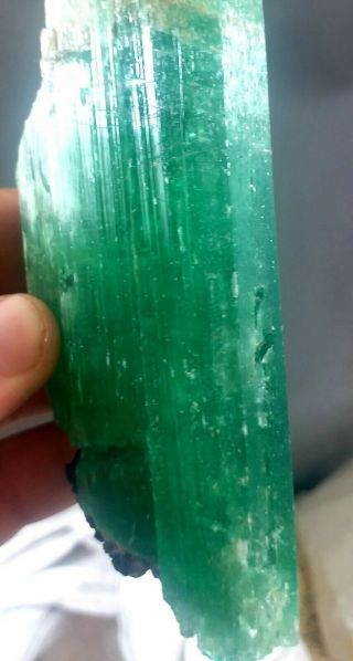 316 Grams Lush Green Hiddenite KUNZITE Crystal Combine With Black TOURMALINE 2