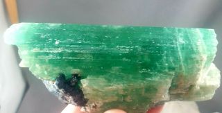 316 Grams Lush Green Hiddenite KUNZITE Crystal Combine With Black TOURMALINE 3