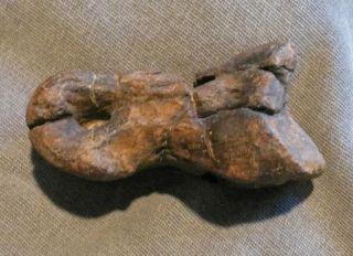 Allosaurus Toe Bone Jurassic Theropod Fossil Rare