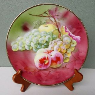 Ct Carl Tielsch Altwasser Antique German Porcelain Cabinet Plate W/ Fruit