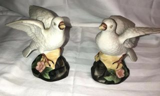 Vintage Set Of Two White Porcelain Dove Figurines 5 " Tall X 5 " Wide