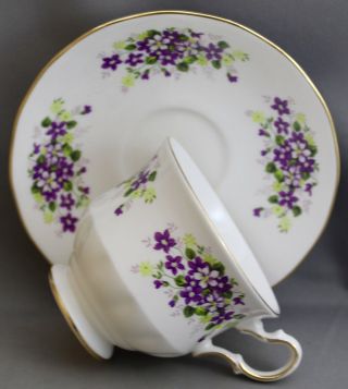 Queen Anne Teacup & Saucer - Purple Violets M 71