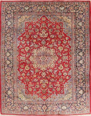 Vintage Traditional Flora Area Rug Hand - Knotted Oriental Red Blue 10x13