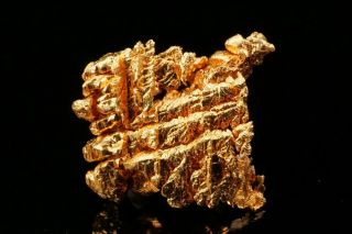 AESTHETIC Native Gold Crystal Cluster 16 - to - 1 MINE,  CALIFORNIA - Ex.  Brown 2