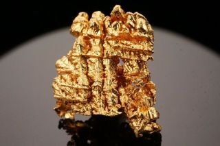 AESTHETIC Native Gold Crystal Cluster 16 - to - 1 MINE,  CALIFORNIA - Ex.  Brown 3