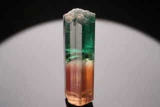 AESTHETIC Bi - Color Tourmaline Crystal CRUZEIRO,  BRAZIL 3