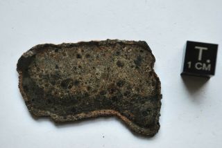 Meteorite Ck4 Chondrite,  Nwa 4966,  Full Slice 8 G