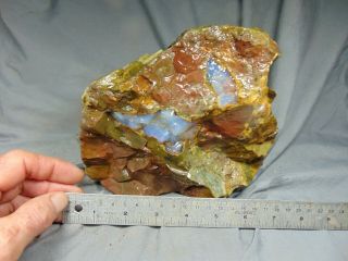 Opal Butte Opal Piece 8 Lbs