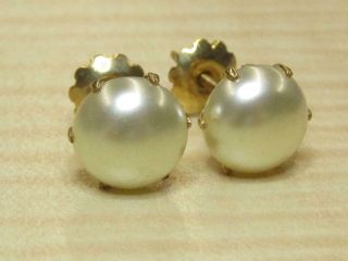 Vintage 14k Yellow Gold Jewelry Faux Pearl Stud Earrings Screw Butterfly Backing