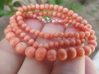 Antique Vintage Victorian Carved Undyed Salmon Coral Bead Necklace 17 " 13.  88g