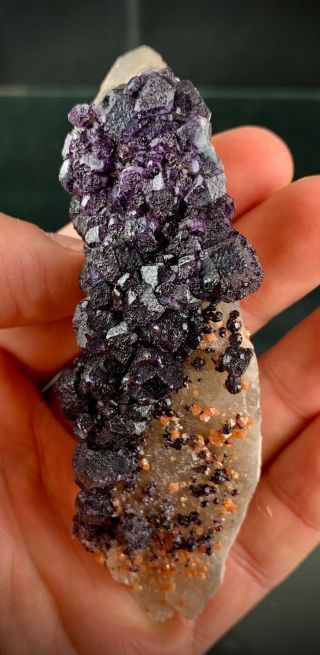 Purple Fluorite W/ Scheelite On Quartz: Zinnwald,  Krusne Hory Mt.  Saxony,  Germany