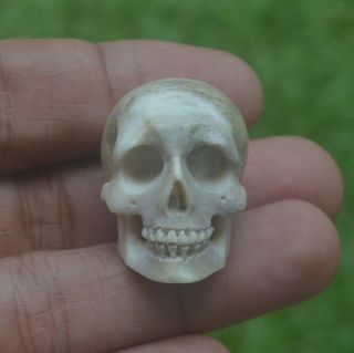 Skull Carved Bead 26mm In Height S574 In Moose Antler Carving