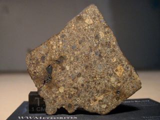 Meteorite Nwa 11534 - Chondrite Ll3 - Carbonaceous Inclusion - Full Slice