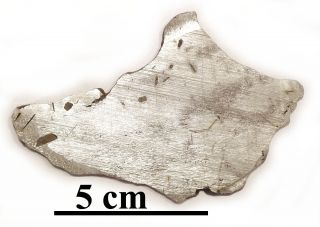 Meteorite Hexahedrite,  Nwa 11420,  Polished And Etched Full Slice,  45.  1 Gr