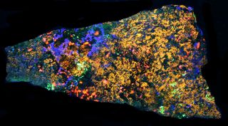 Clinohedrite,  Willemite Fluorescent Minerals Four Color,  Franklin,  Nj