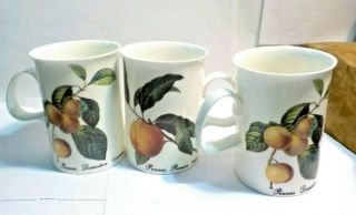 Dunoon Set Of 3 Mugs Cups England From Artis Redoutes Prints Prune & Peach