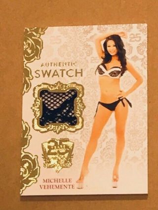 2019 Michelle Vehemente Benchwarmer No 25 Years Authentic Swatch Card