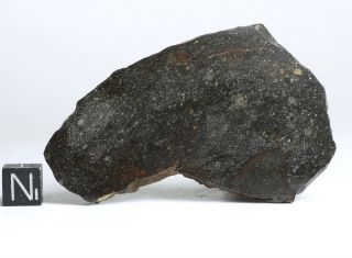 Meteorite Nwa 11436 - Fresh Rumuruti R3 - 6 (s3/w - Low) - Big Polished Slice 39.  3g