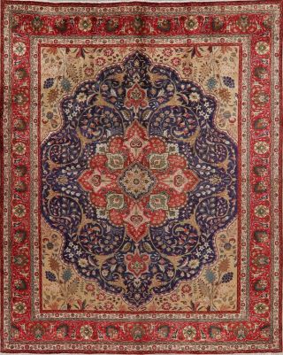 Blue Floral Area Rug Hand - Knotted Wool Oriental Traditional Carpet 10 X 13