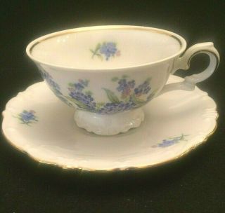 Vintage Bareuther Bavaria Germany White With Blue Flower Tea Cup And Saucer 8645