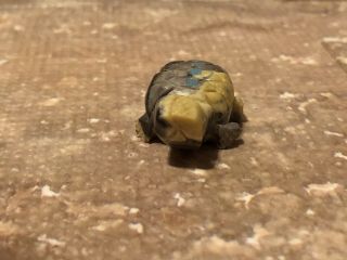 ZUNI CARVED PICASSO MARBLE TURTLE FETISH SIGNED BY AMANDA SIUTZA 2