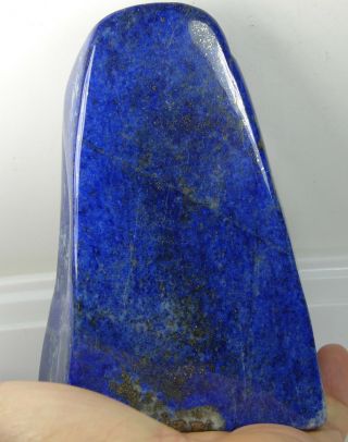 875g Afghanistan 100 Natural Tumbled Rough Lapis Lazuli Specimen 1lb 14oz 127mm