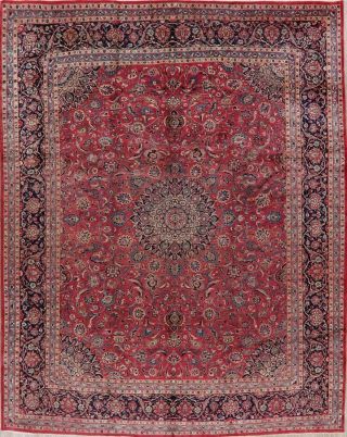 Traditional Area Rug Hand - Knotted Wool Oriental Floral Carpet 10 X 12