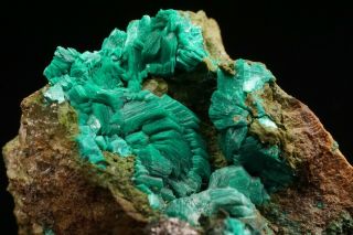 RARE Chalcophyllite Crystal Cluster MAJUBA HILL,  NEVADA - Ex.  Jensen 2