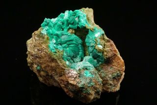 RARE Chalcophyllite Crystal Cluster MAJUBA HILL,  NEVADA - Ex.  Jensen 3