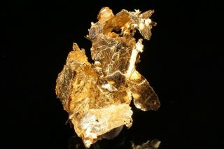 AESTHETIC Native Gold Crystal Cluster LEINSTER,  AUSTRALIA 3