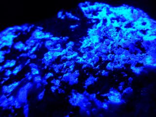 Kb: Fantastic Crystalline Fl.  Blue Benitoite On Matrix From The Gem Mine