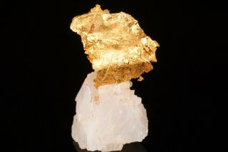 Unique Native Gold On Calcite Swauk River Placers,  Washington