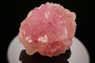 Extraordinary Rose Quartz Crystal Cluster Pitorra Claim,  Brazil