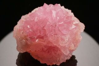 EXTRAORDINARY Rose Quartz Crystal Cluster PITORRA CLAIM,  BRAZIL 3