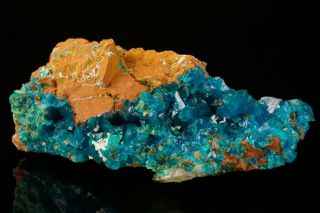 Rare Classic Liroconite Crystal Cluster Wheal Gorland,  Cornwall,  England