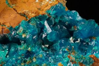 RARE CLASSIC Liroconite Crystal Cluster WHEAL GORLAND,  CORNWALL,  ENGLAND 2