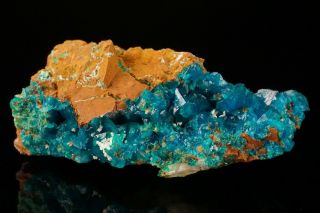 RARE CLASSIC Liroconite Crystal Cluster WHEAL GORLAND,  CORNWALL,  ENGLAND 3