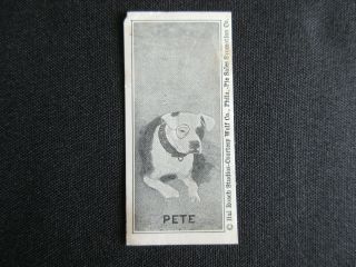 1929 F59 - 2 Pete The Dog Hershey 