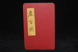 Ancient Painting Shunga Artistic Erotic Viusal Painting Book Nr6