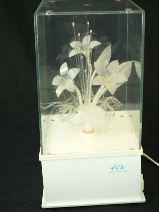 1980s Phantom Clear Fiber Optic Light Box Lamp Color Flowers 11 X 6 " Plexiglass