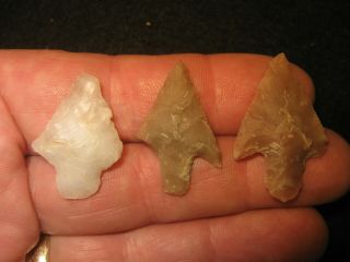 3 Authentic West Texas Bird Point Arrowheads,  Prehistoric Indian Artifacts,  Wt1