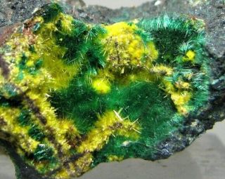 Uranophane Malachite Musonoi Mine,  Kolwezi,  Lualaba,  Dr Congo