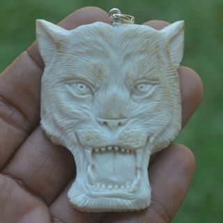 Tiger Head Carving 60x46mm Pendant P2595 W Silver In Buffalo Bone Carved