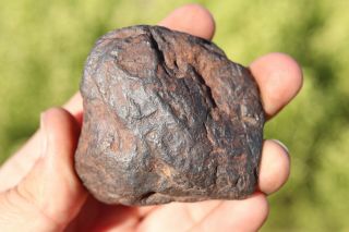 Uruacu Iron Meteorite Individual 227.  2 Grams
